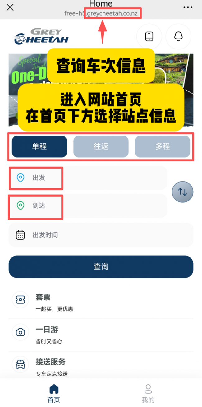 不必自驾，自有方向--Grey Cheetah（灰豹）重新定义新西兰自由行出行方式