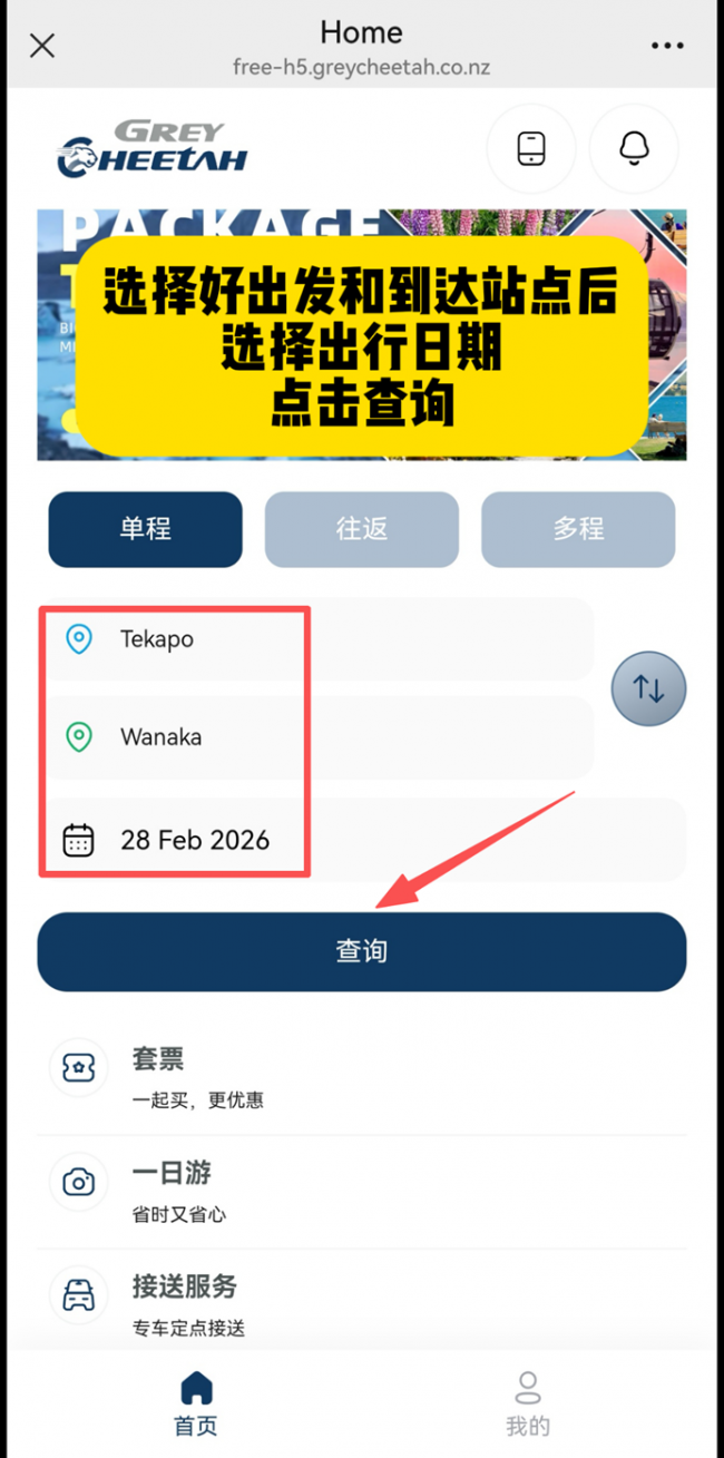 不必自驾，自有方向--Grey Cheetah（灰豹）重新定义新西兰自由行出行方式