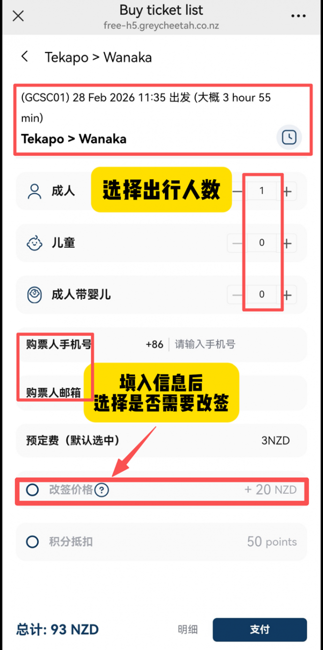 不必自驾，自有方向--Grey Cheetah（灰豹）重新定义新西兰自由行出行方式