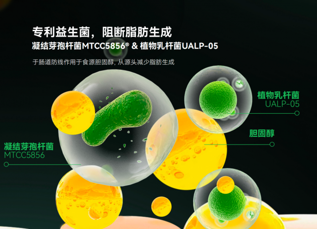 健身博主脂肪肝反转记:LAIFE「乐轻肝」用AI破解非肥胖性肝损 健身博主脂肪肝反转记:LAIFE「乐轻肝」用AI破解非肥胖性肝损