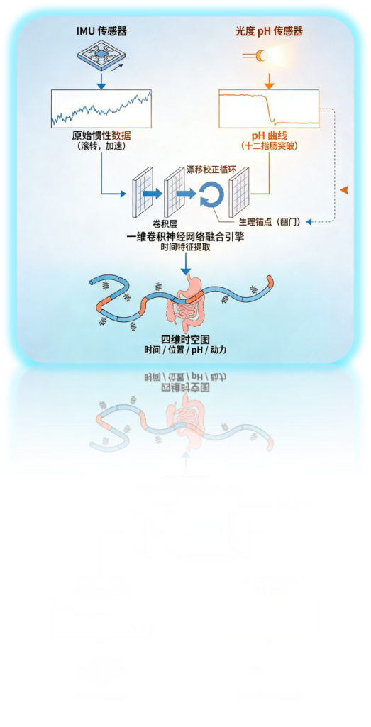 静影沉璧——基于仿生水凝胶与AI时空解算的下一代胃肠动力学监测平台