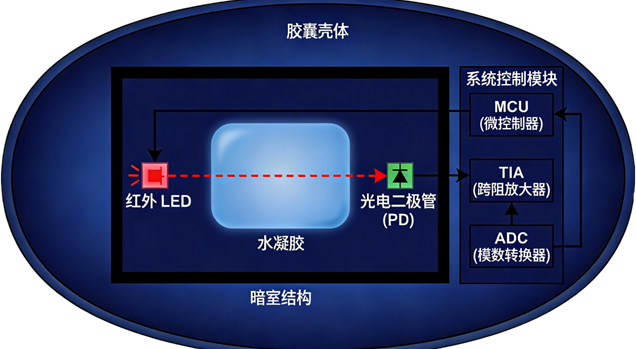 静影沉璧——基于仿生水凝胶与AI时空解算的下一代胃肠动力学监测平台