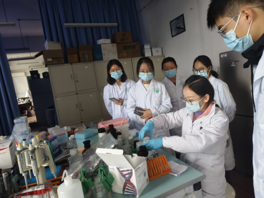 静影沉璧——基于仿生水凝胶与AI时空解算的下一代胃肠动力学监测平台