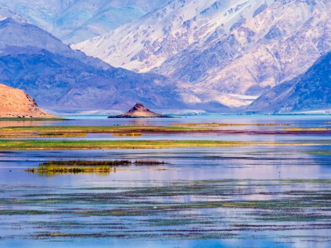 当孩子说“我不想上学”，东方心语教您如何处理