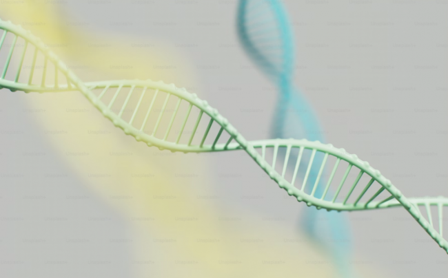 PDRN如何筑起春敏防御墙?——以氐殊为例的技术解读 PDRN如何筑起春敏防御墙?——以氐殊为例的技术解读