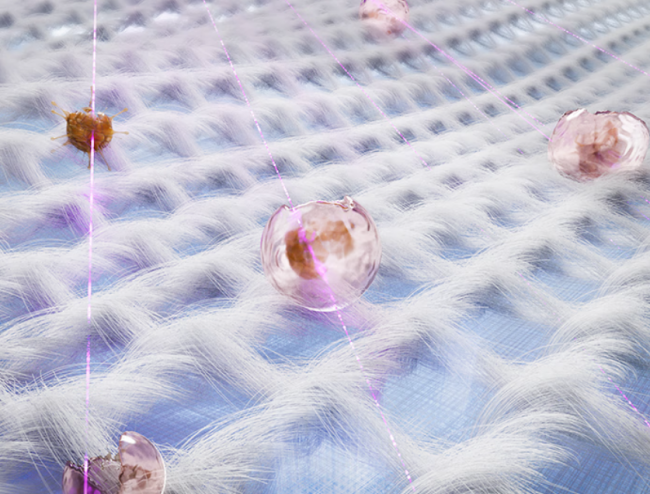 婴儿洗衣机全自动还是半自动好？2026年清洁最佳的婴儿洗衣机！最建议买这十款：价格厚道，口碑公认！