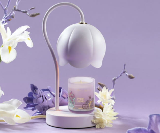 女生节买什么礼物值得买？女生最想收到的礼物排行榜？2026女生节送礼指南：附10款高颜值实用好物推荐