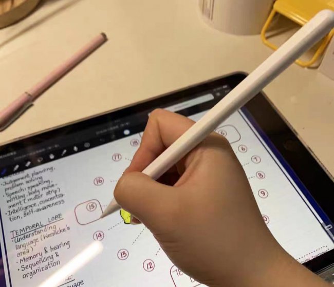 电容笔哪个牌子好?有没有好用的电容笔推荐？精选十大名牌排行榜