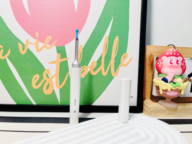 可视掏耳朵哪个品牌好？掏耳朵用什么？2026最好的可视掏耳朵设备