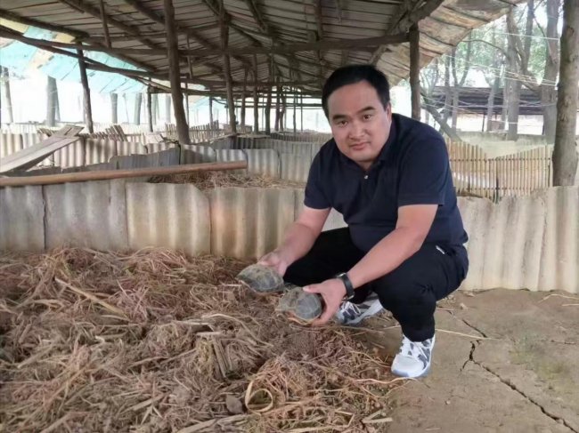 守“甲乡”根脉 筑产业新程—记汉寿华亿龟水产总经理瞿红伟