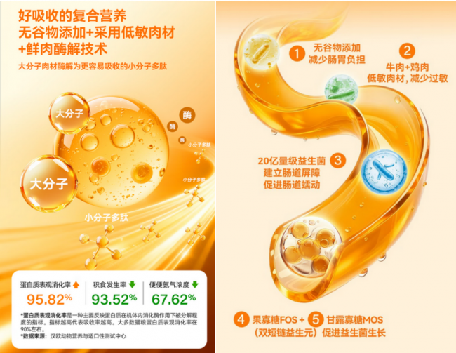 猫粮怎么选？肠胃弱+吸收差，我家猫真的被希喂这款猫粮救了