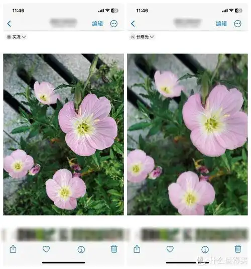 2026婴儿掏耳勺什么牌子好？掏耳勺品牌排行榜，小孩掏耳好物推荐