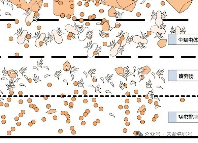 除螨仪哪个牌子性价比高质量好?家用吸尘除螨仪排行榜前十名?2026年零差评的除螨仪推荐TOP10!