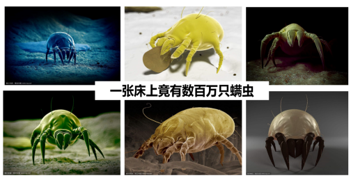 无线除螨仪哪个牌子好?无线除螨仪排行榜前十名?精选除螨仪爆款排行榜前十名测评分析,必看