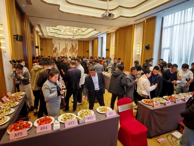 重启·遇见！2026草莓品牌大会盛大开幕，引领产业高质量发展新风向