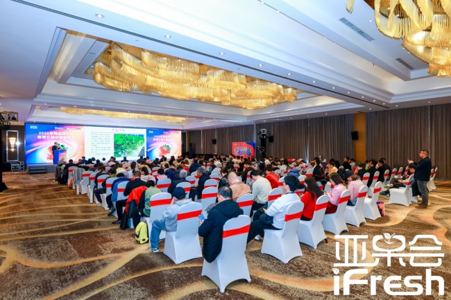 重启·遇见！2026草莓品牌大会盛大开幕，引领产业高质量发展新风向