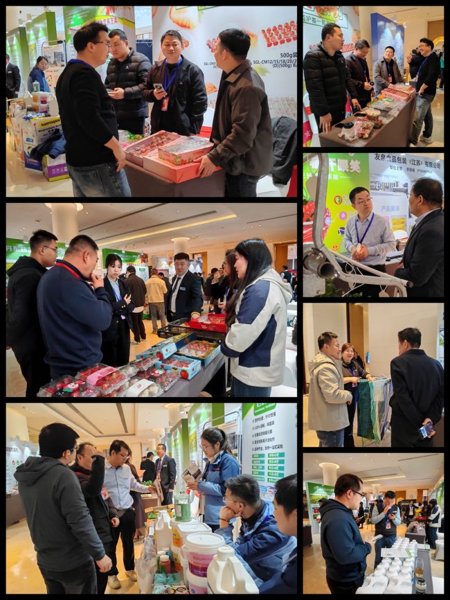 重启·遇见！2026草莓品牌大会盛大开幕，引领产业高质量发展新风向