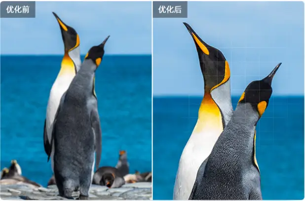 可视耳勺哪个牌子好？用什么掏耳朵最好？掏耳神器推荐不踩坑