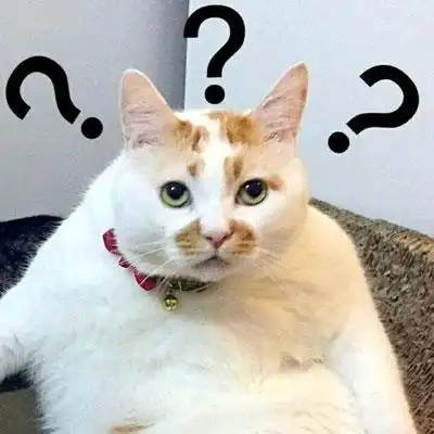 2026年充电宝最新最全科普：能不能带上飞机？3C标志如何辨别？充电宝到底哪个牌子最实用？新规详细解析+高口碑品牌前十名推荐