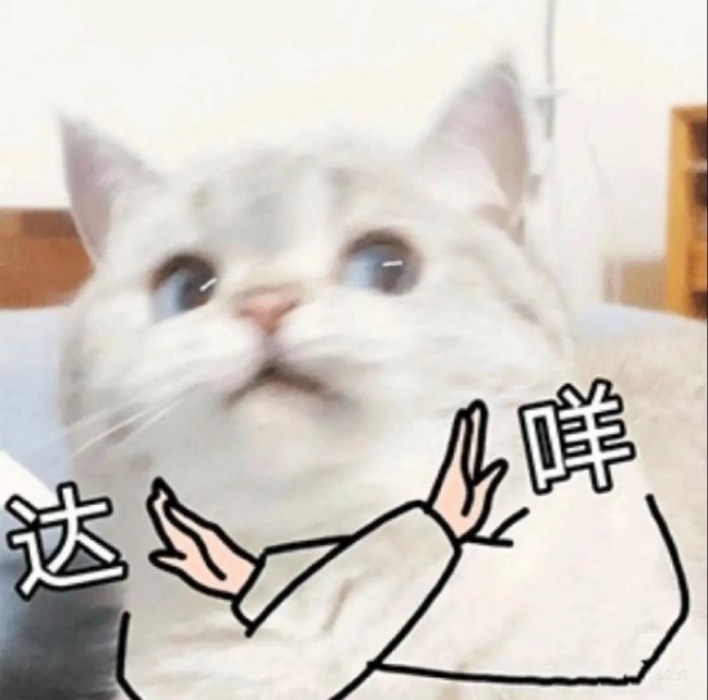 2026年充电宝最新最全科普：能不能带上飞机？3C标志如何辨别？充电宝到底哪个牌子最实用？新规详细解析+高口碑品牌前十名推荐