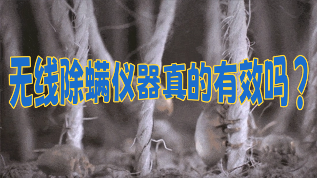 无线除螨仪器真的有效吗？小米除螨仪最建议买哪一款？2026年最热门除螨仪性能排行榜，附选购指南