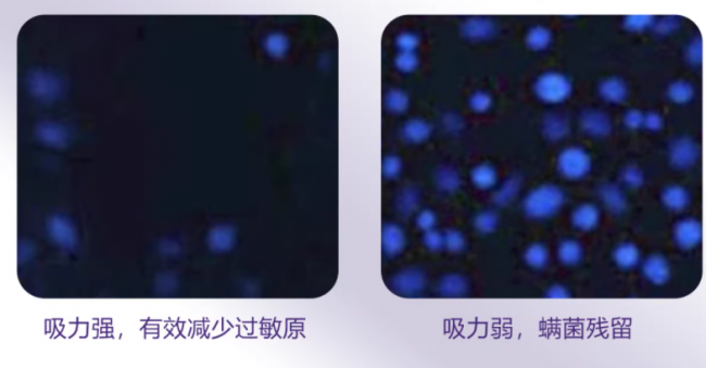 无线除螨仪真的好用吗？除螨仪推荐性价比高的？2026年3月除螨仪十大品牌排行榜！怎么选看这里！