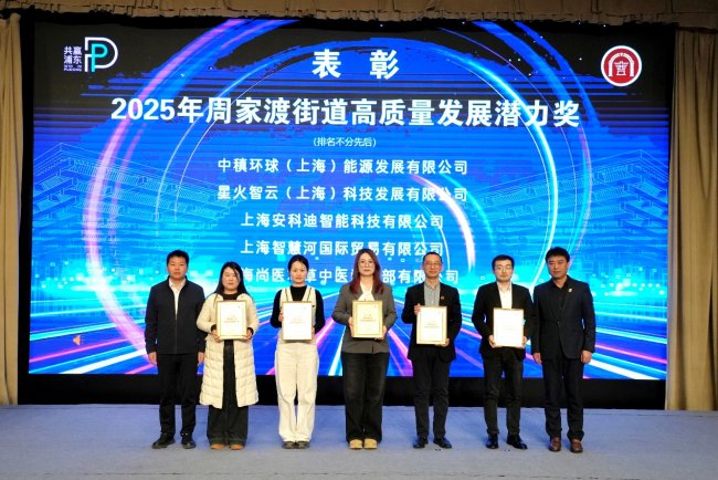 星火保实力加持 星火智云荣获周家渡街道高质量发展潜力奖