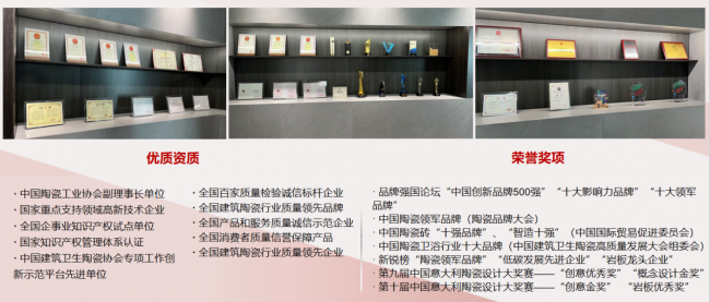 高端定制 vs 刚需实用:岩板品牌怎么挑? – 中国陶瓷网