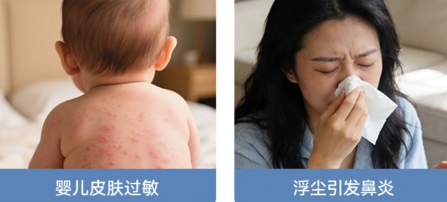 真人测评:被子除螨仪有用吗安全吗?被褥除螨仪器真的有效吗?2026年公认口碑除螨仪TOP10榜单