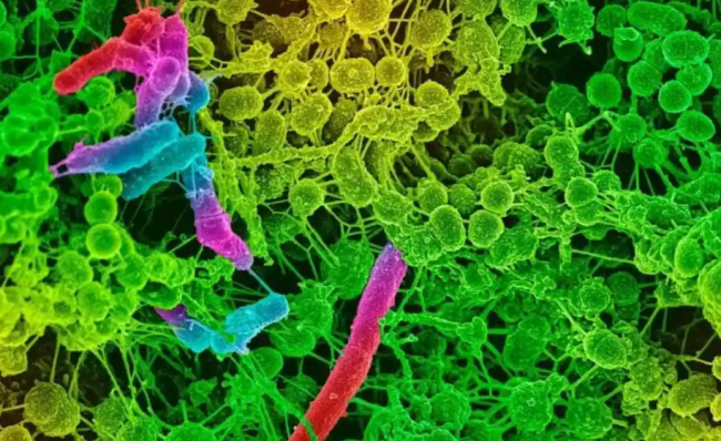 内衣洗衣机可以洗袜子吗?美的/希亦等十台热门爆款内衣洗衣机!适合新手日常使用的型号要知道!