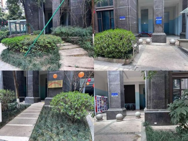 成都盛乐社区：院落协治共建走深走实 绘就社区治理新图景