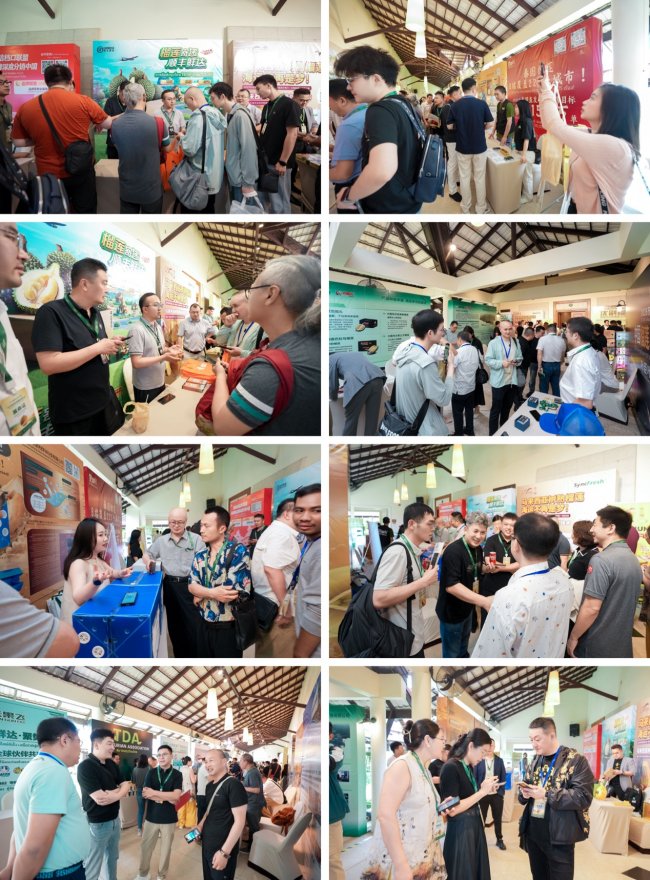 纵览东盟供需之变,掌舵榴莲市场未来!首届亚洲榴莲品牌大会盛大举行!