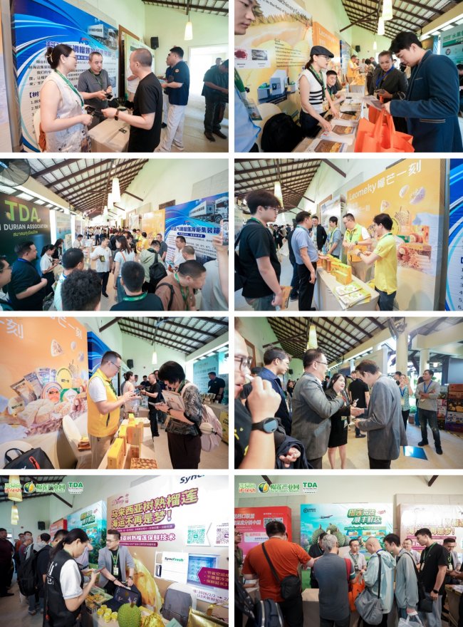 纵览东盟供需之变,掌舵榴莲市场未来!首届亚洲榴莲品牌大会盛大举行!