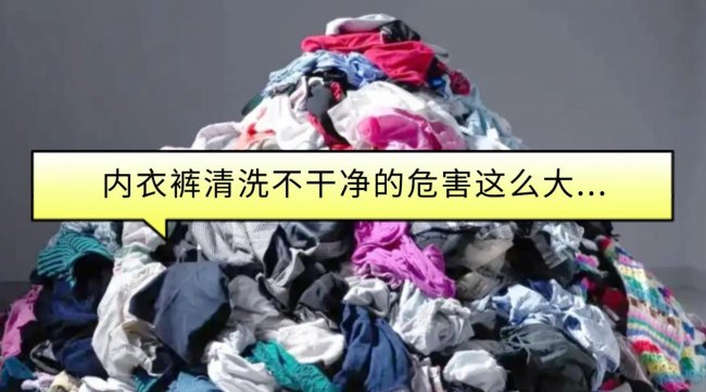 石头内衣裤洗衣机怎么洗？超全2026年内衣裤洗衣机排行榜分享，含石头/希亦/小米等知名品牌