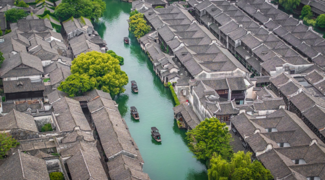 不想白跑一趟乌镇？这份春日赏花路线图请收好