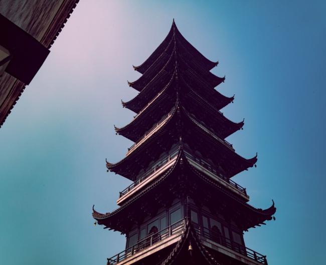 不想白跑一趟乌镇？这份春日赏花路线图请收好