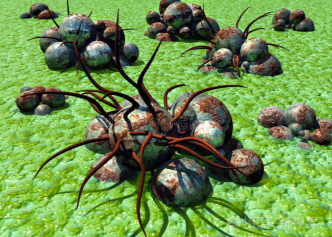 洗内裤机器管用么？评测2026十大比较耐用的内裤洗衣机品牌！含小米/希亦/小熊等口碑型号~