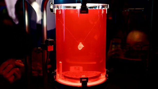 赛乐瑞Cellerator:以细胞抗衰科技践行品牌使命深度融入健康中国战略(图2)