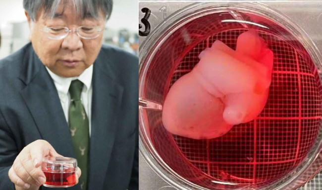 赛乐瑞Cellerator:以细胞抗衰科技践行品牌使命深度融入健康中国战略(图3)