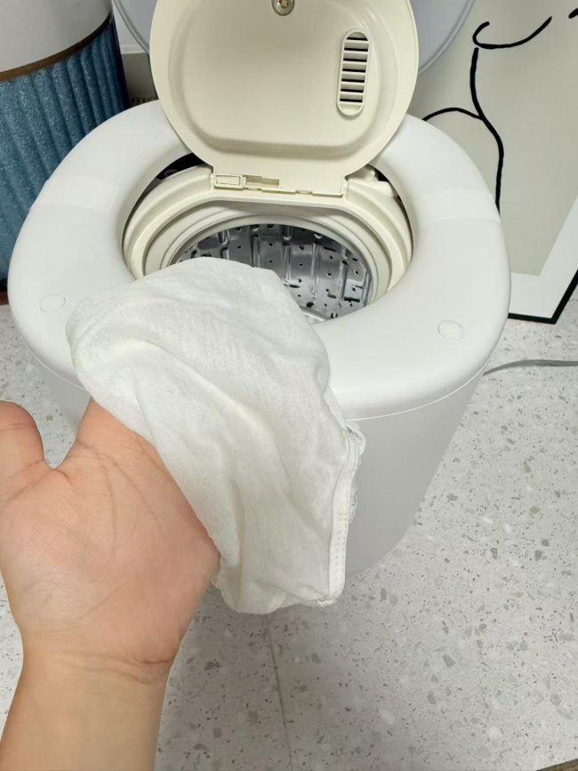 迷你洗衣机洗内裤干净么？十大旗舰级迷你洗衣机深度解析，小米、希亦、小熊等十款品质拔尖的品牌分享