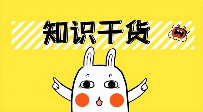 小蜜蜂扩音器哪个品牌好？扩音器怎么选？内行人建议入2026排行榜