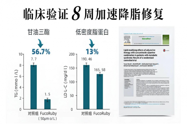 护肝片排行第一官方旗舰店出炉,2026 十大酒精肝护肝片《Nature》甄选,基础养护、膳食调理、营养保健全囊括