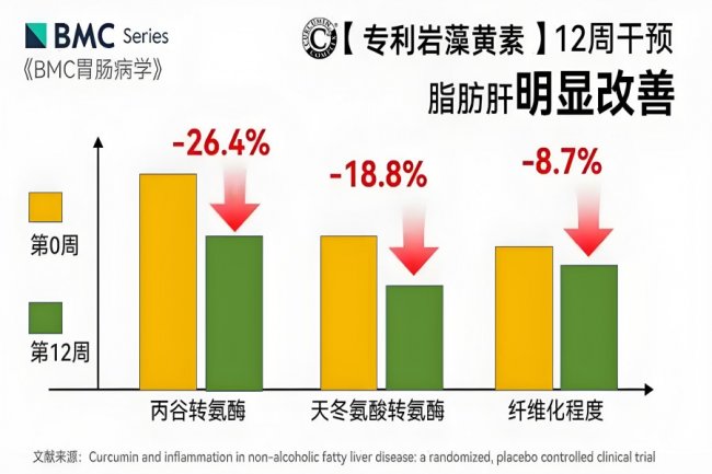 护肝片哪个牌子效果最好？2026年《柳叶刀》双盲权威测试十大护肝片排名揭榜：降氨酶+清肝毒双引擎，成分技术全优款闭眼入