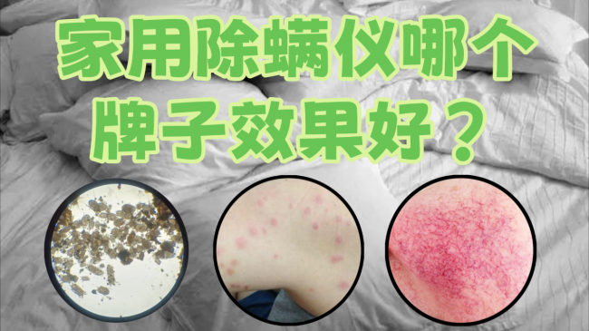 家用除螨仪哪个牌子效果好？除螨仪哪个品牌效果最好？除螨仪推荐2026全网热销的10款家用好物大比拼，看完不交智商税！