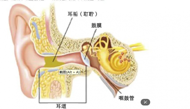 可视挖耳勺是智商税吗？可视掏耳勺好不好？掏耳勺哪种好？2026可视挖耳勺选购指南