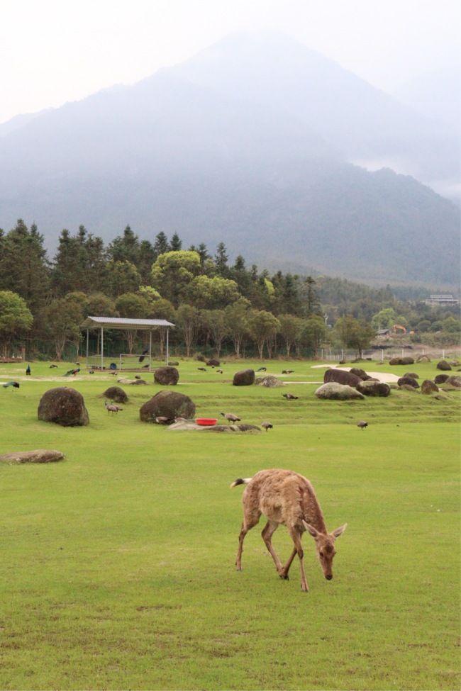 四天三晚亲历桂东北！我们跟着湾区同业一路沉浸式打卡，真实体验太圈粉
