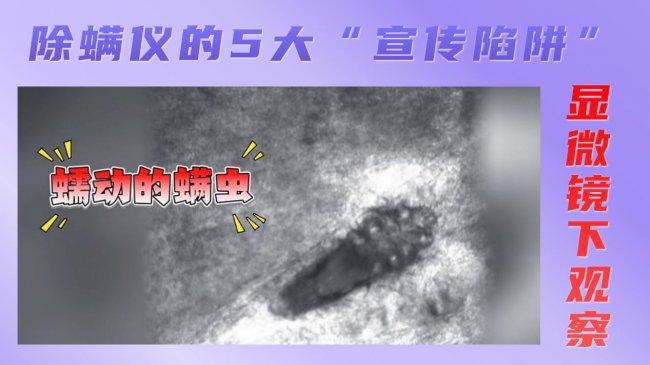 除螨仪哪个牌子的好用质量好？什么除螨仪牌子又好又便宜？盘点2026除螨仪排行榜10强，品牌榜单来袭~