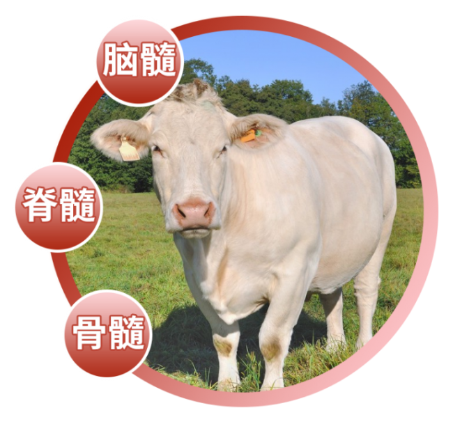 《骨营养白皮书》重磅启动，诺普乐生物“三髓提取物”成焦点！