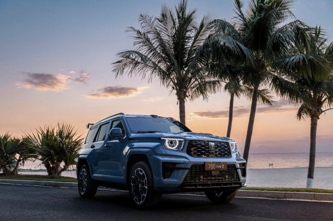 43.80万起 全域豪华SUV新旗舰 全新坦克700正式开启预售第10张