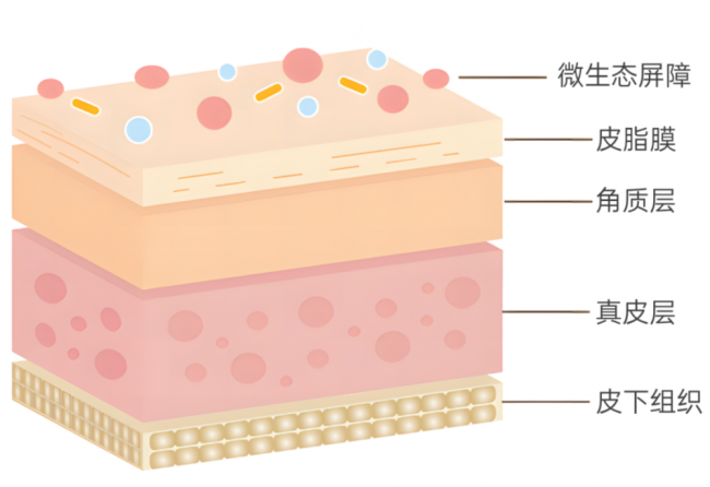 告别春敏恶性循环：氐殊为受损肌肤提供再生修复新路径